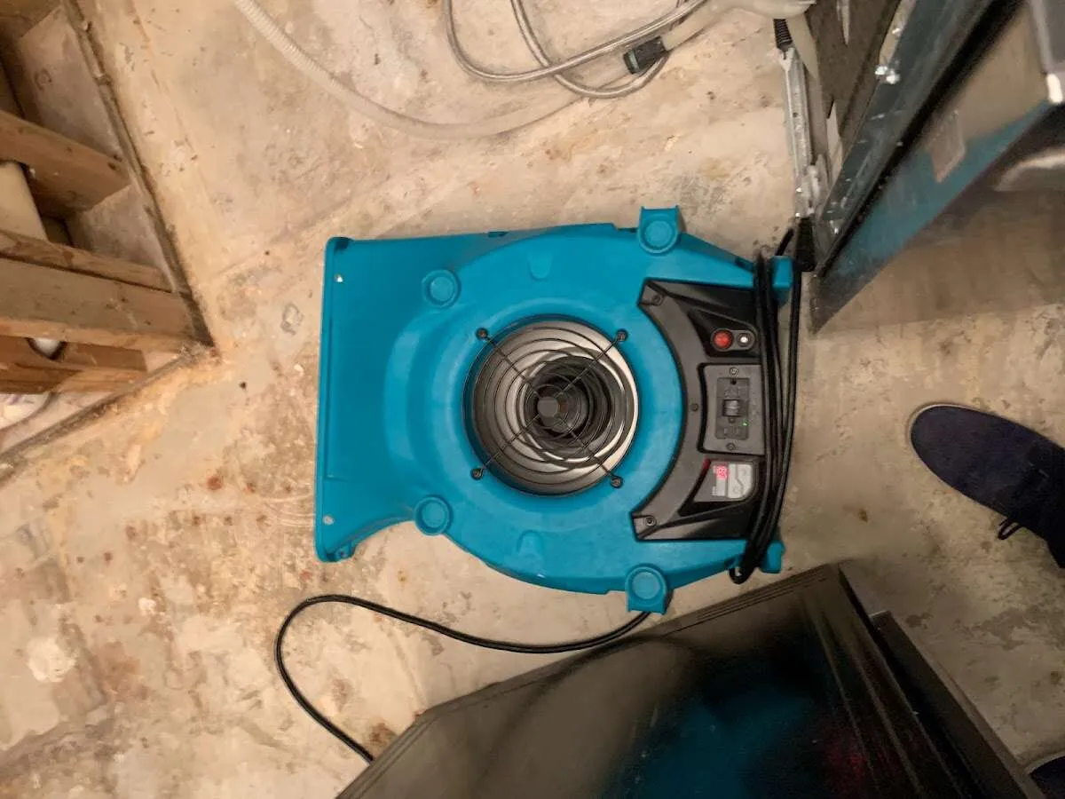 Air mover drying equipment for Mold Remediation & Removal in Fairwood