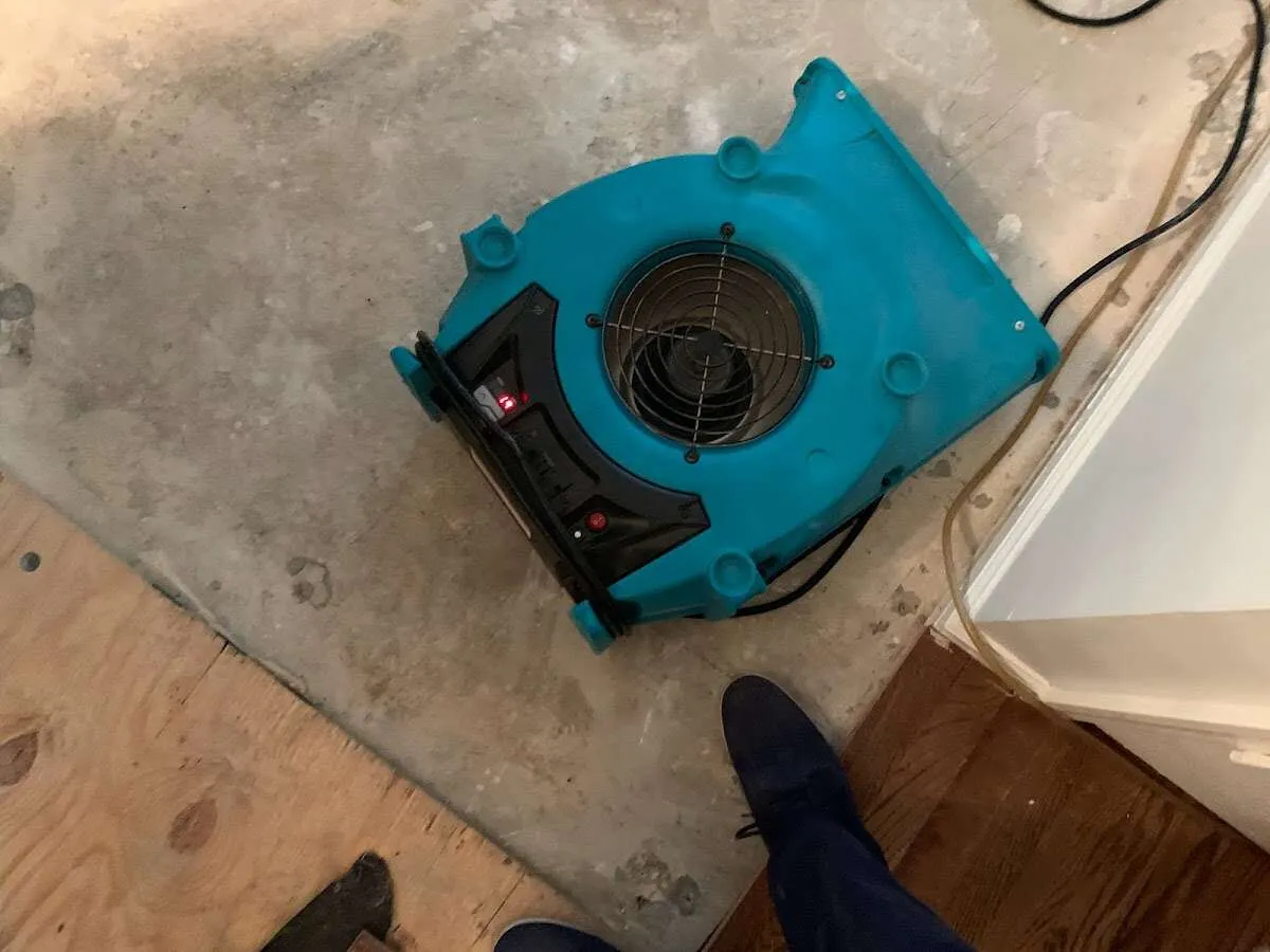 Air mover drying subfloor during Leak Detection & Repair in Fairwood